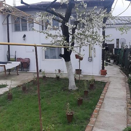 Hotel House Craiova Exterior foto