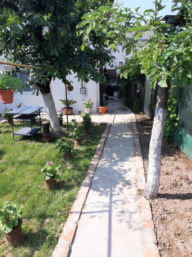 Hotel House Craiova Exterior foto