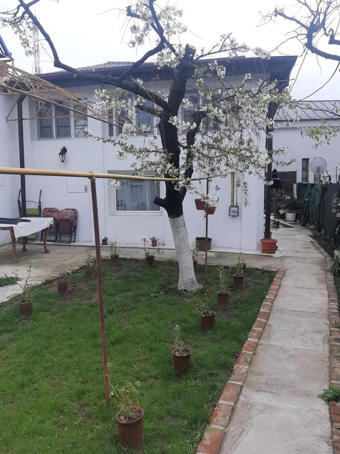 Hotel House Craiova Exterior foto